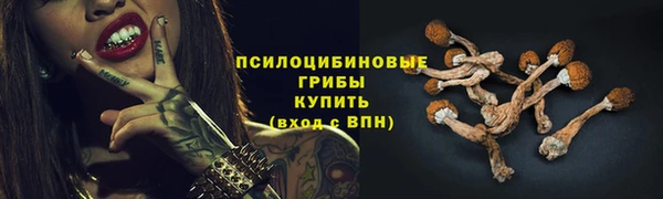 соль ск Корсаков